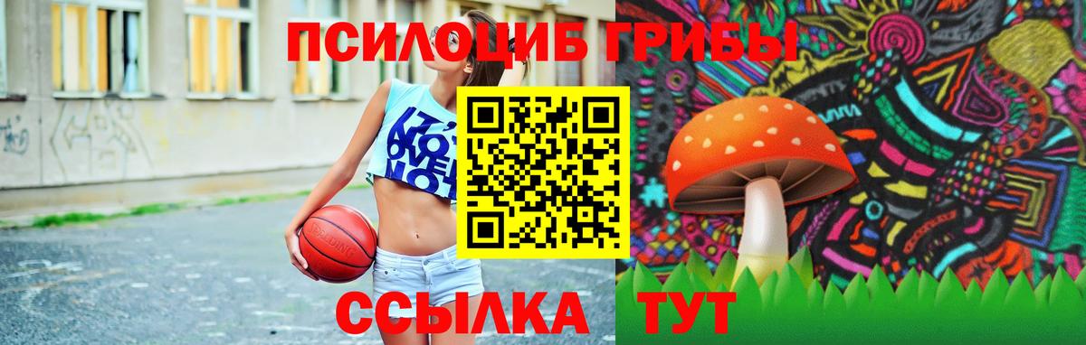 где купить наркотик  Вход с VPN  Минусинск  Псилоцибиновые грибы Psilocybe 